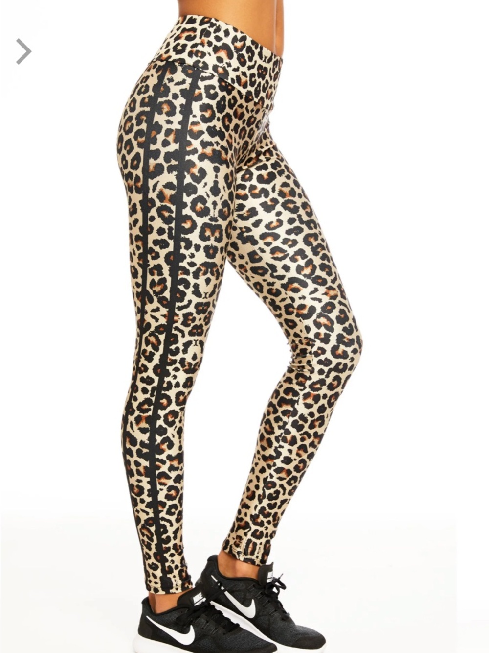 Goldsheep Classic Leopard Leggings brown black shine